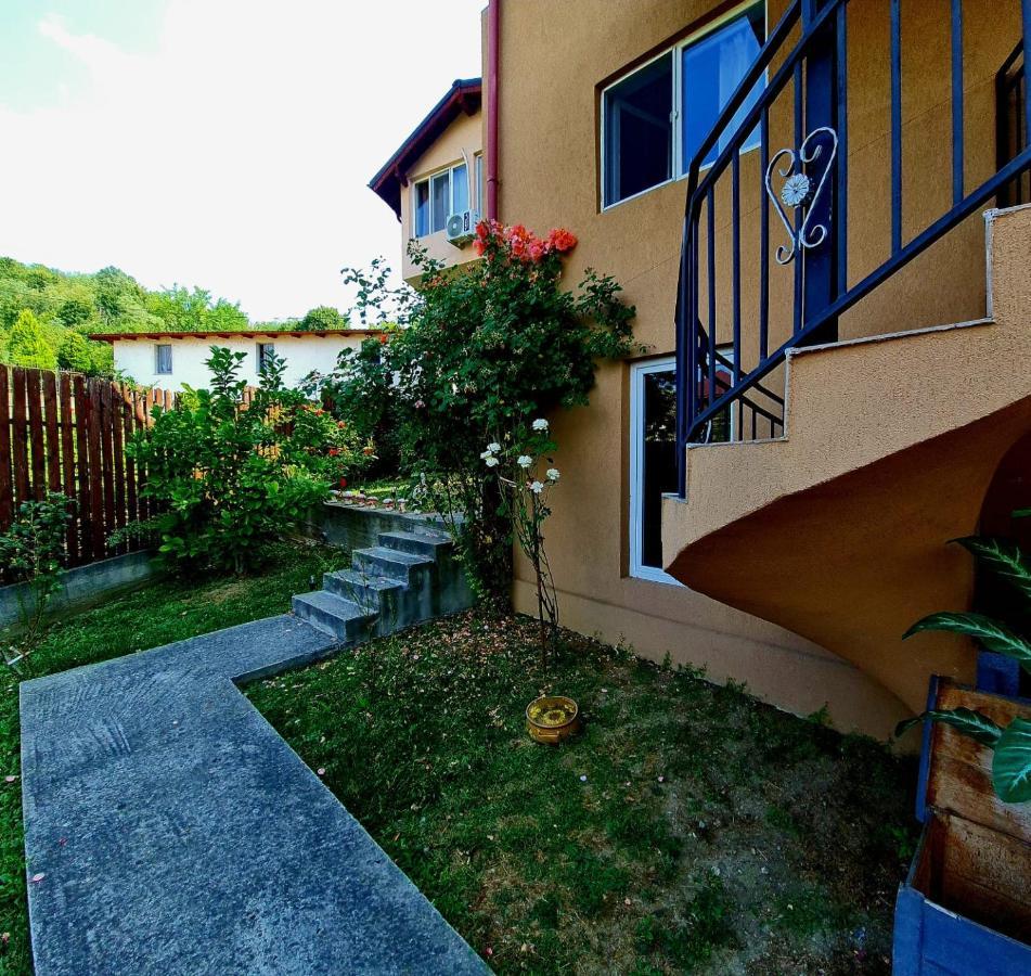 Casa Ostrov Calimanesti Exterior foto